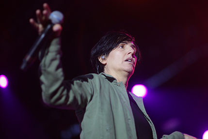 the wombats